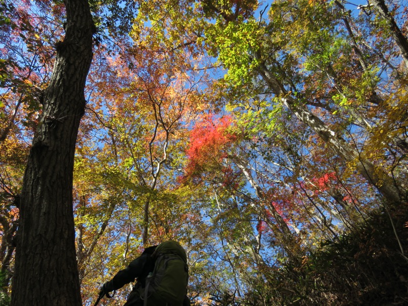 奥久慈・男体山